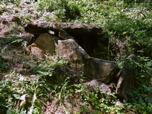 Dolmen-de-Llor-3-Castellar-de-la-Ribera-Lleida Cataluña