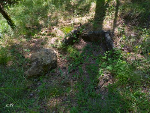 Dolmen-de-Llor-4-Castellar-de-la-Ribera-Lleida Cataluña