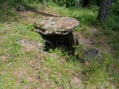 Dolmen-de-Llor-5-Castellar-de-la-Ribera-Lleida Cataluña