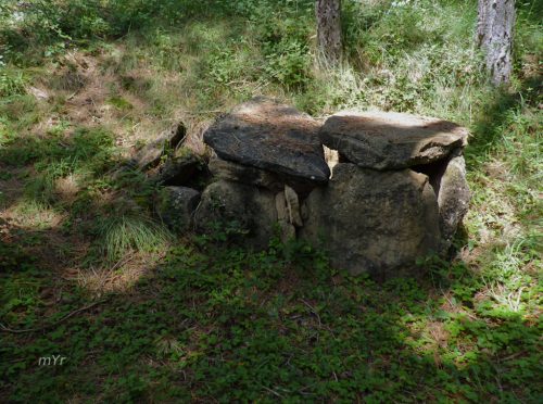 Dolmen-de-Llor-6-Castellar-de-la-Ribera-Lleida Cataluña