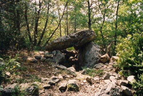 Dolmen de Pedra Cabana Cabó Lleida Cataluña