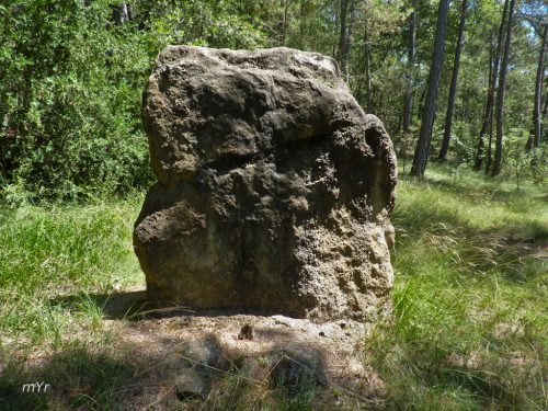 Menhir de-Llor -Castellar-de-la-Ribera-Lleida Cataluña