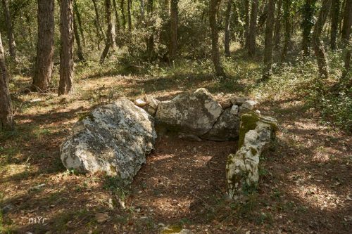 Cista del Pla del Bosc Conca de Barberà Montblanc Tarragona Cataluña