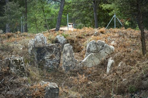Dolmen de Mas Pla  Valldossera Tarragona