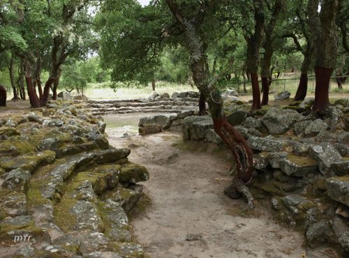 Sitio arquelogico Romanzesu F1 Bitti Nuoro Cerdeña-Italia