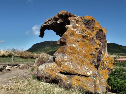 Domus de Janas Roca del Elefante F1 Castelsardo Sassar Cerdeña-Italia