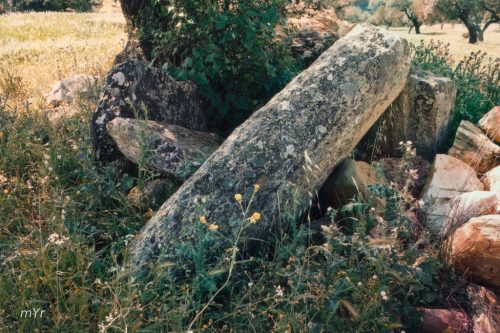 Dolmen-Juncoso II La Cardenchosa-Azuaga-Badajoz Extremadura