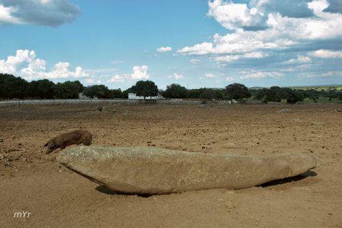 Menhir-El-Gamonal-Valverde-de-Leganes-Badajoz Extremadura