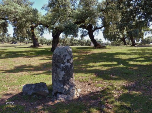 Menhir-o-Mojon-Dehesa-de Monteporrino I Salvaleon Badajoz Extremadura