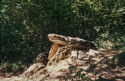 Dolmen du Bois-de-Monfarbeau 1 Ternant Beaune Côte-d'O Borgoña