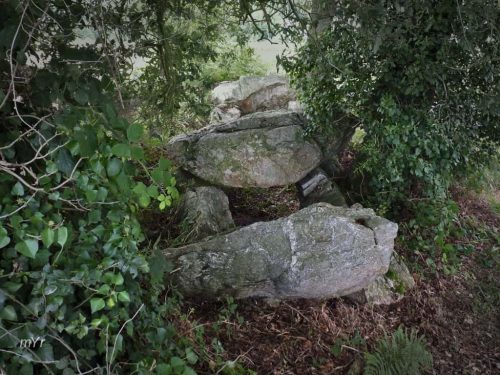 Allée couverte Roche aux Fées F1 Gentière Plénée Jugon  Dinan Côtes-d'Armor Bretaña