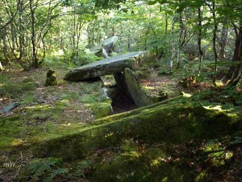 Allée couverte de Bonnet Rouge Plélauff  Pontivy Côtes-d'Armor Bretaña