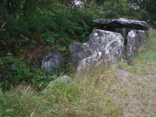 Allée couverte de Liscuis 3 Laniscat Pontivy Côtes-d'Armor Bretaña