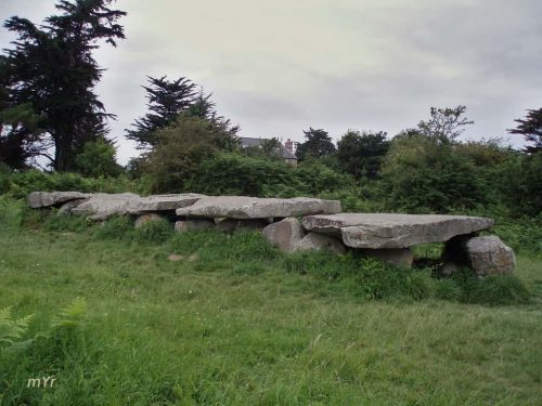 Allée couverte de Prajou-Menhir Trébeurden Côtes-d'Armor Bretaña
