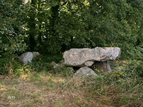 Allée couverte de la Ganterie Vicomté-sur-Rance  Dinan Côtes-d'Armor Bretaña