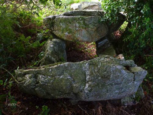 Allée couverte Roche aux Fées F2 Gentière Plénée Jugon  Dinan Côtes-d'Armor Bretaña