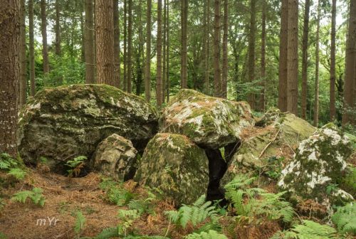 Allée couverte du bois de la Rabasse Plumaugat Dinan Côtes-d'Armor Bretaña