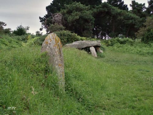 Allée couverte et menhir de Prajou-Menhir Trébeurden Côtes-d'Armor Bretaña