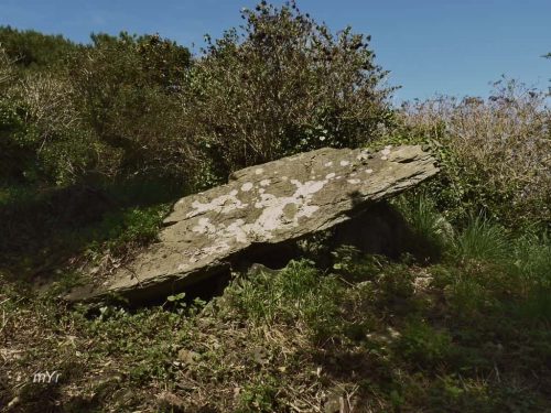 Dolmen de Roscouac'h Trédrez-Locquémeau Lannion Côtes-d'Armor Bretaña