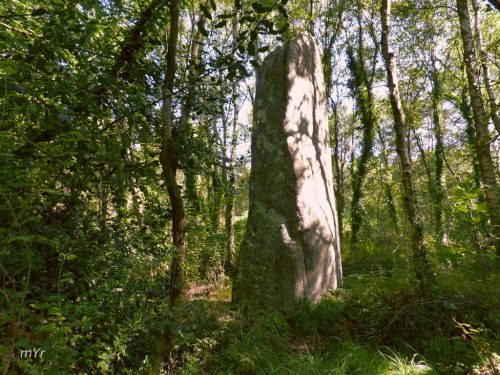 Menhir Lann-ar-Peulven Trédrez-Locquémeau Lannion Côtes-d'Armor Bretaña