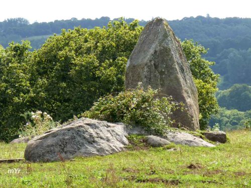 Menhir  Men-Bihan  Trégrom Lannion Côtes-d'Armor Bretaña