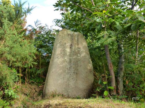 Menhir Milin Ar Lann Trébeurden  Lannion Côtes-d'Armor Bretaña