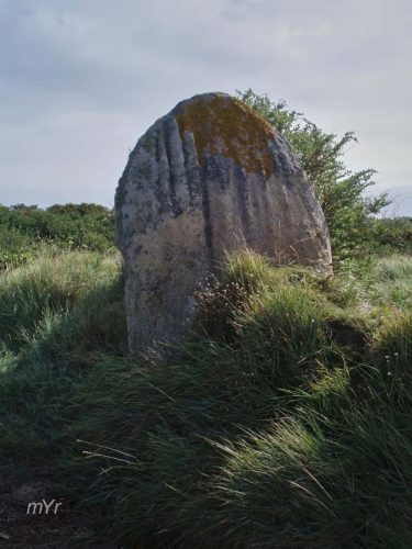 Menhir Run ar Gam Trébeurden Lannion Côtes-d'Armor Bretaña