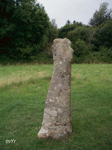 Menhir Vertu Saint Sanson  Pleumeur-Bodou Lannion Côtes-d'Armor Bretaña