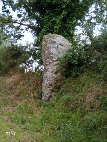 Menhir de Kerdudalou Squiffiec Guingamp Côtes-d'Armor Bretaña