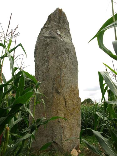 Menhir de Kerguézennec Parque Min-Hir Begard Guingamp Côtes-d'Armor bretaña