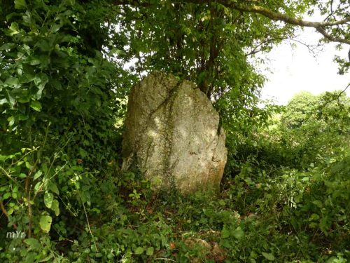 Menhir de Menou-Glas F1 Landebaëron Guingamp Côtes-d'Armor Breteaña