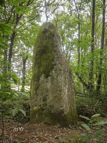 Menhir de Peillonnaye Gomené Pontivy Côtes-d'Armor Bretaña