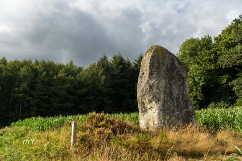 Menhir de Perfaux  Saint-Vran Saint-Brieuc Côtes-d'Armor Bretaña