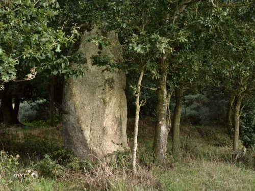 Menhir de Saint-Mirel Plénée Jugon Saint-Brieuc Côtes-d'Armor Bretaña