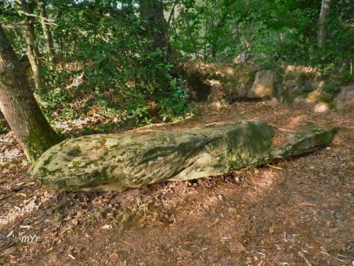 Menhir de Véadès F2 Trébeurden Lannion Côtes-d'Armor Bretaña