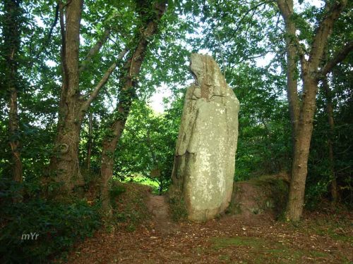 Menhir de Véadès F1 Trébeurden Lannion Côtes-d'Armor Bretaña