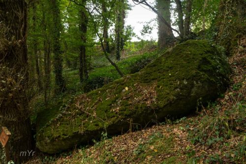 Menhir de la Glinaie B Lanrelas Dinan Côtes-d'Armor Bretaña