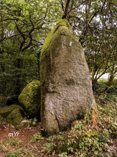 Menhir de la Glinaie  Lanrelas Dinan Côtes-d'Armor Bretaña