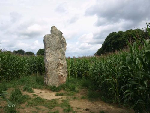 Menhir de la Roche Longue Guitté  Dinan Côtes-d'Armor Bretaña