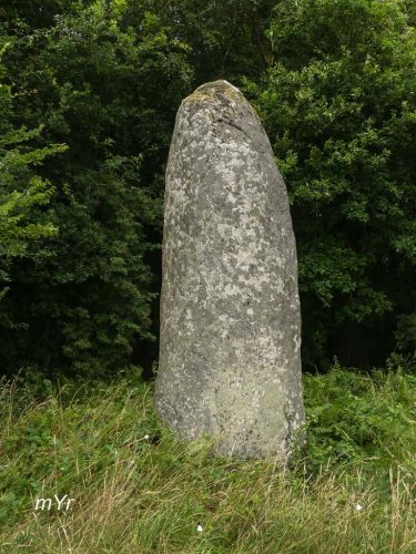 Menhir dit la Grande Perrière Perfaux B Saint-Vran Saint-Brieuc Côtes-d'Armor Bretaña