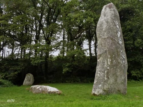 Menhirs de Pergat F2 Louargat Guingamp Côtes-d'Armor Bretaña