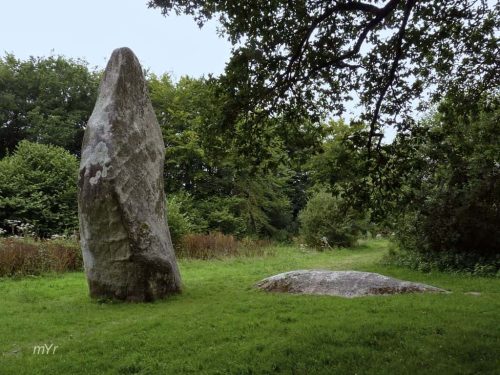 Menhirs de Pergat F1 Louargat Guingamp Côtes-d'Armor Bretaña