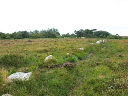 Alignement  La Noce de Pierres Brasparts Châteaulin Finistère Bretaña