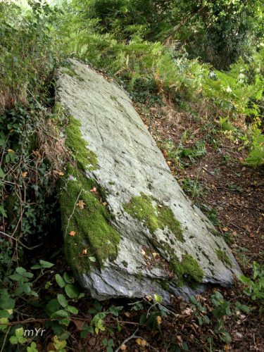 Alignement de Guernangoué F1 Roudouallec Châteaulin Finistère Bretaña
