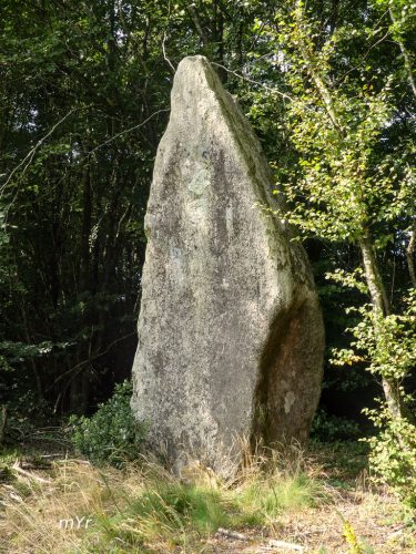Alignement du Bois du Duc F1 Spézet Châteaulin Finistère Bretaña