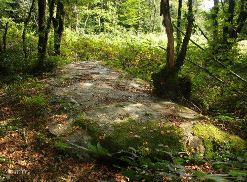 Alignement du Bois du Duc F2 Spézet Châteaulin Finistère Bretaña