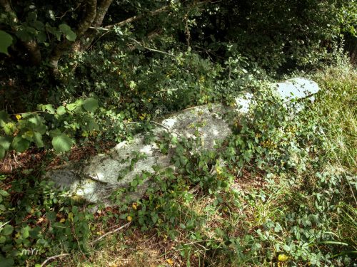 Allée couverte Loch-ar-Ronfl F3 Gouézec  Châteaulin Finistère Bretaña
