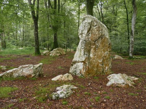 Alineamiento de Kerprigent Saint-Jean-du-Doigt Morlaix Finistère Bretaña