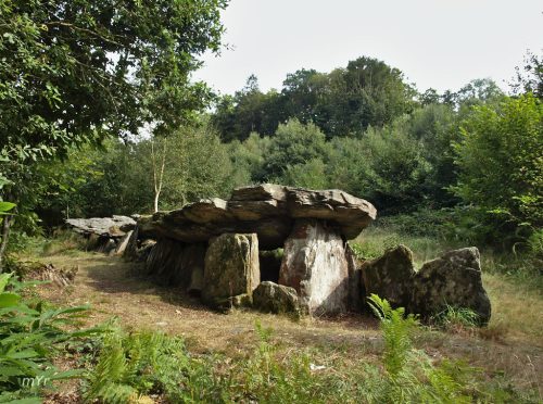 Allée couverte Loch-ar-Ronfl F1 Gouézec  Châteaulin Finistère Bretaña