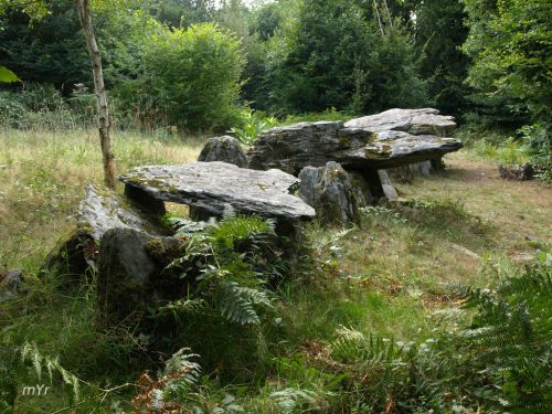 Allée couverte Loch-ar-Ronfl F2 Gouézec  Châteaulin Finistère Bretaña